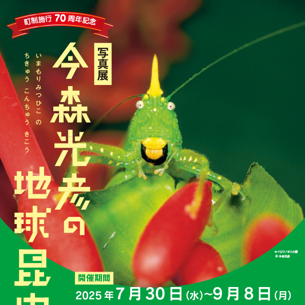 今森光彦の地球昆虫紀行写真展